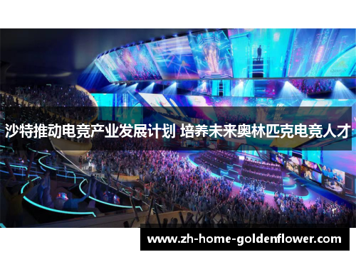 沙特推动电竞产业发展计划 培养未来奥林匹克电竞人才