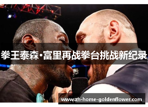 拳王泰森·富里再战拳台挑战新纪录