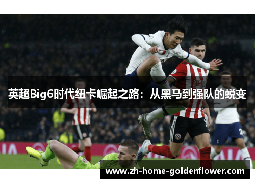 英超Big6时代纽卡崛起之路：从黑马到强队的蜕变